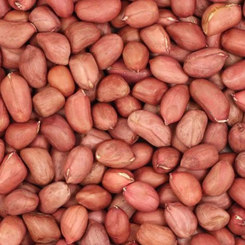 G20 Bold Peanut Kernel