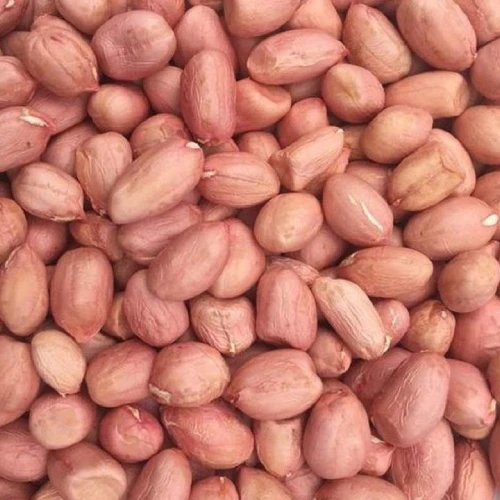 TJ 37 Peanut